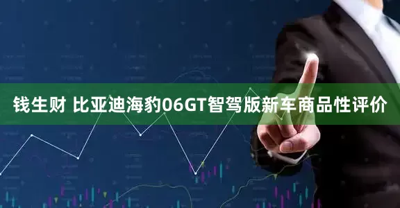 钱生财 比亚迪海豹06GT智驾版新车商品性评价