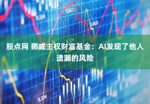 股点网 挪威主权财富基金：AI发现了他人遗漏的风险